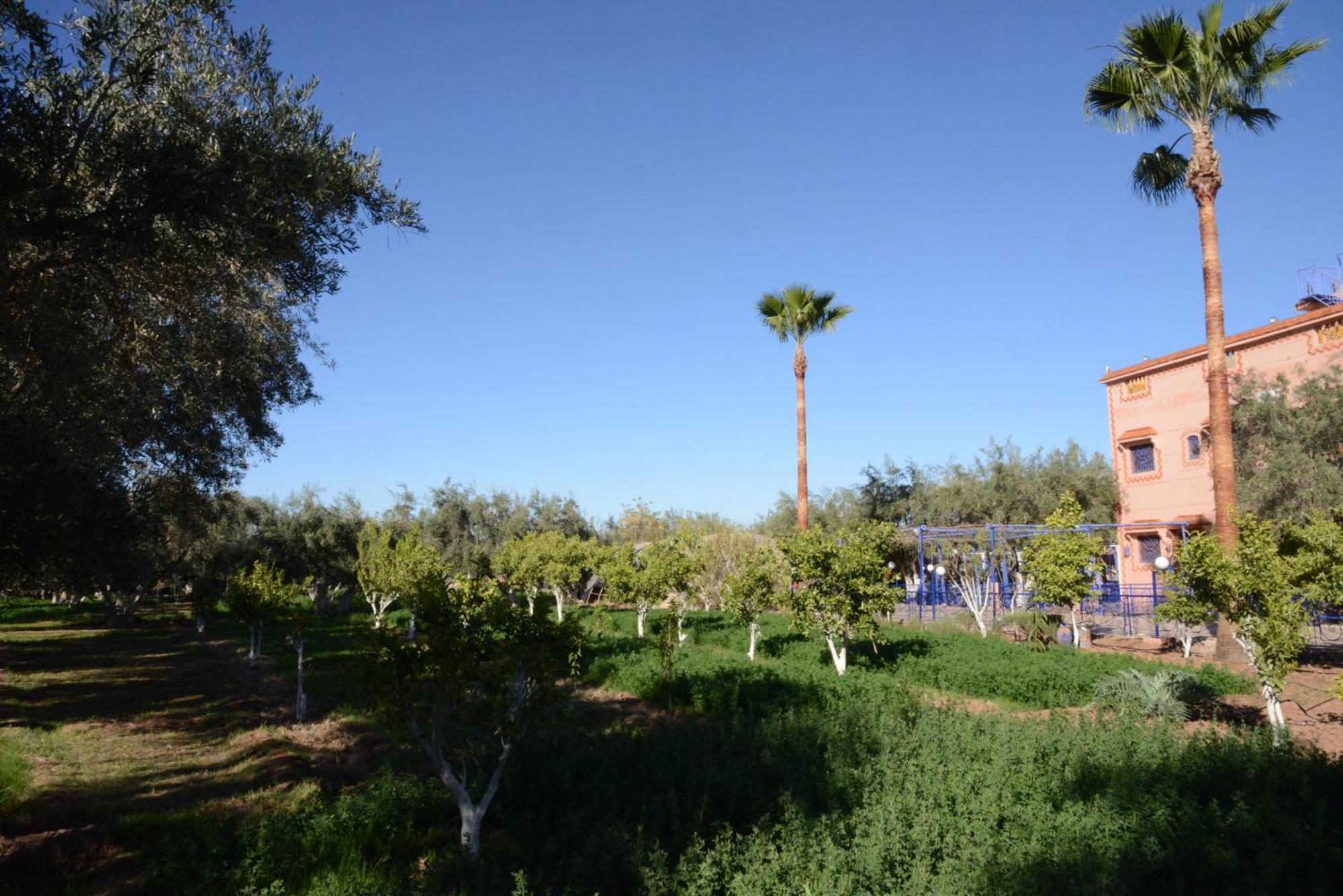 Eco Farm Tayssir Hotel Marrakesh Exterior photo