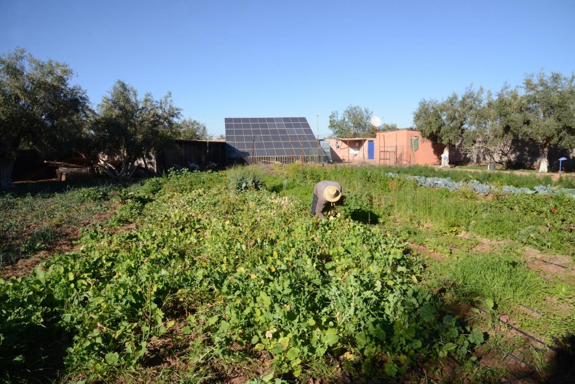 Eco Farm Tayssir Hotel Marrakesh Exterior photo